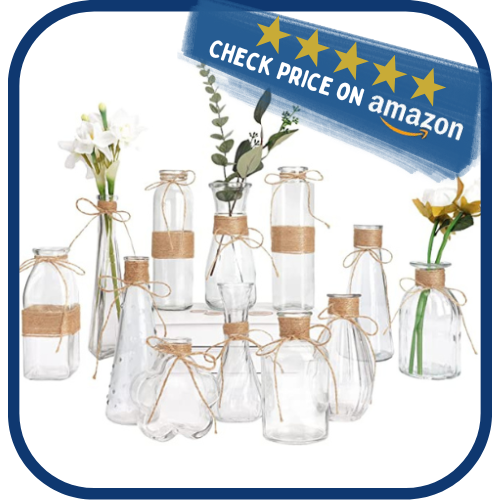 Clear Flower Vases with Cute Rope Design