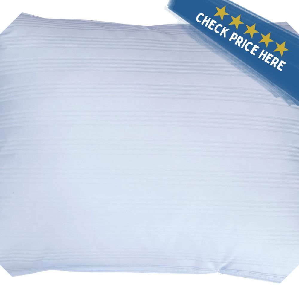 DOWNLITE Extra Soft Down Pillow