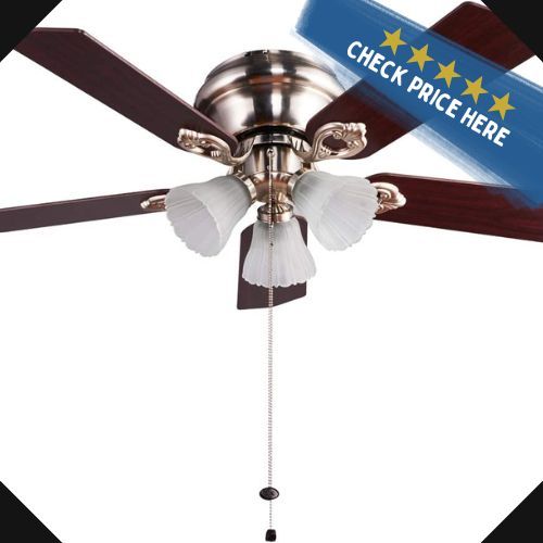 Lampsmore Indoor Ceiling Fans With Lights